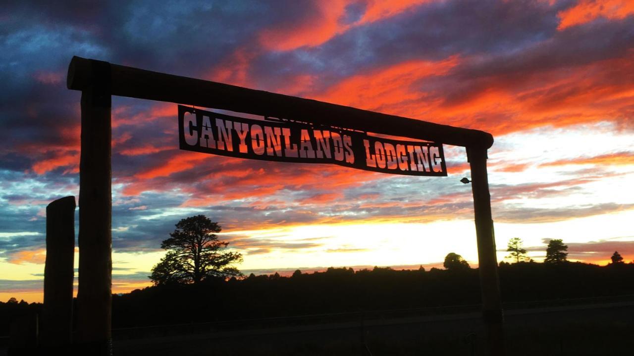 Ranch Mountain Cabin, Stunning! Campfire, Hiking Monticello Exteriör bild